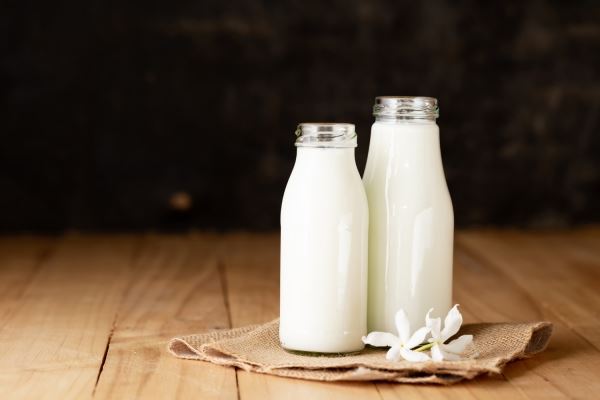 В Ингушетии производство молока выросло на 19,8%