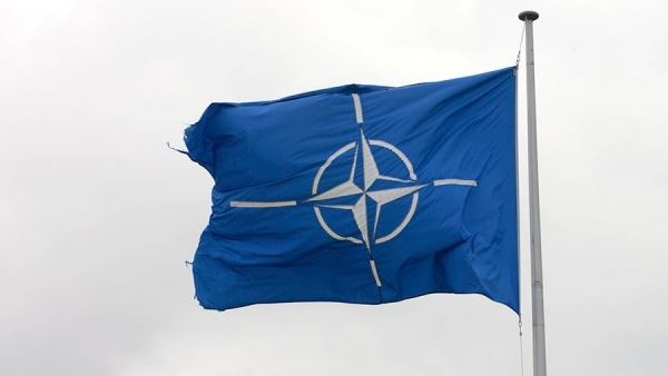 Американский сенатор призвал «закрыть» НАТО для постсоветских стран<br />

