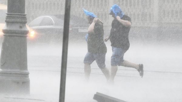 МЧС предупредило о грозе и сильном ветре в Москве в субботу<br />

