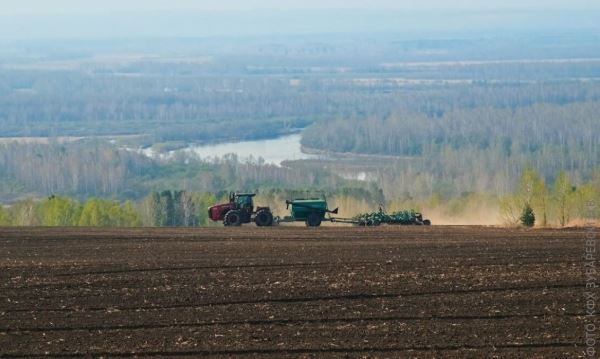 Передовое фермерское хозяйство Красноярского края к 2023 году нарастит поголовье КРС на 16,8%