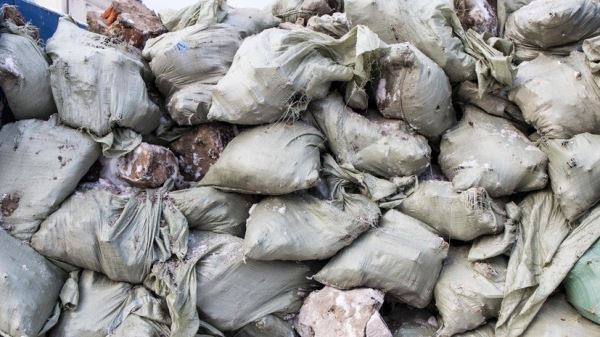 Волонтёры в ходе экологической экспедиции в ЯНАО собрали почти 11 тонн отходов